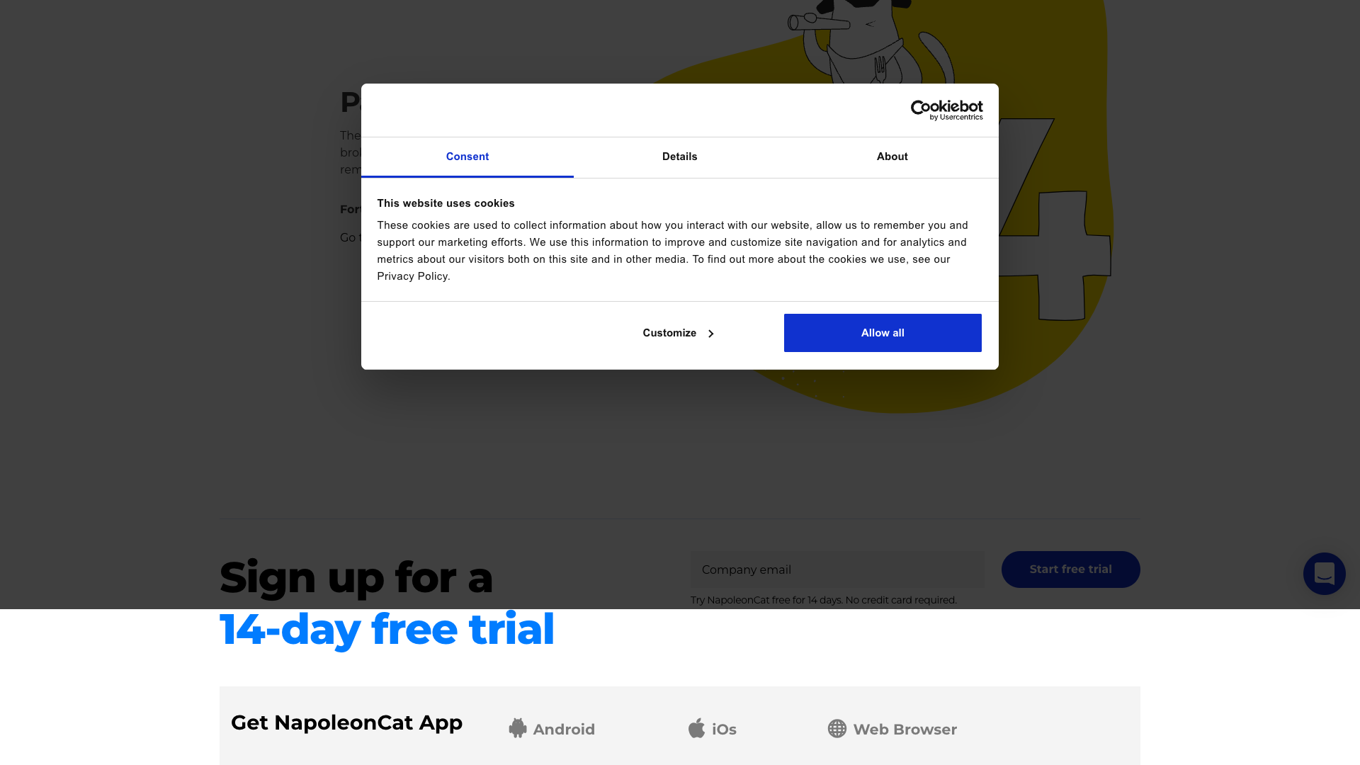 Auto-moderation feature details
