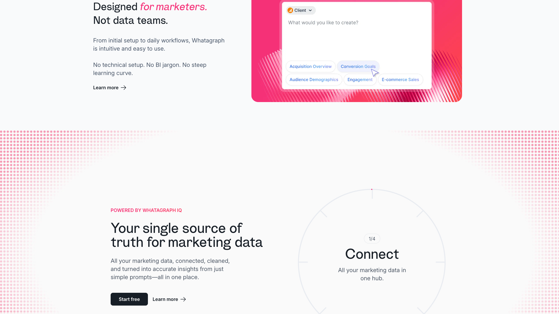 Whatagraph IQ section highlighting key features