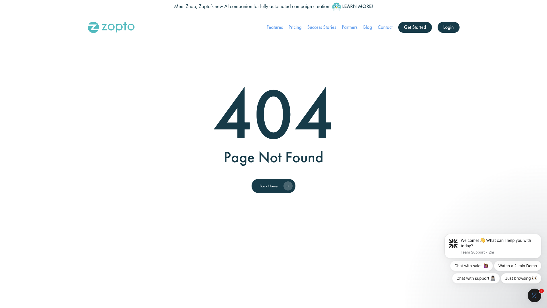 Success stories demonstrating customer results with Zopto