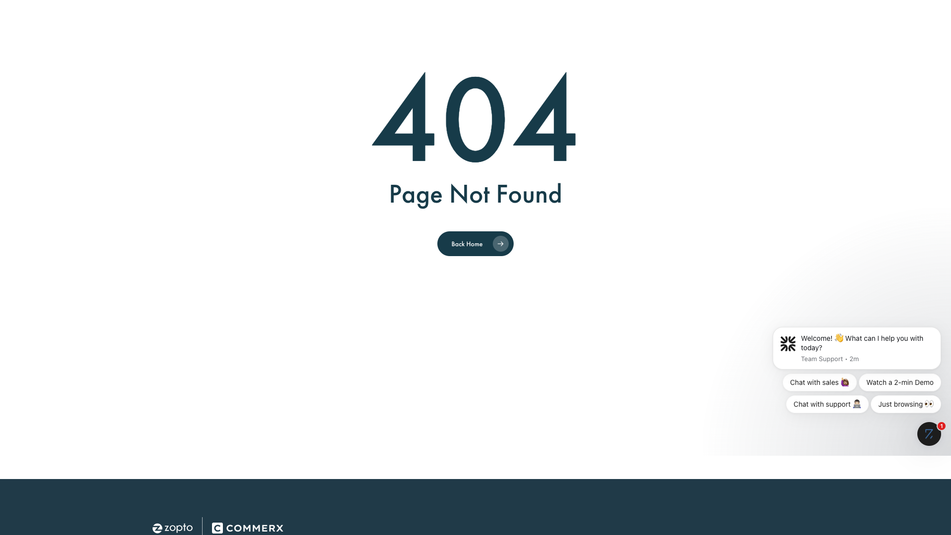 About page providing background on Zopto and its mission